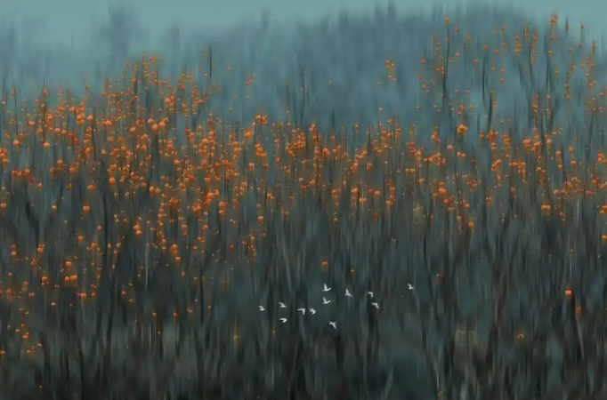 B 门：探索长时间曝光